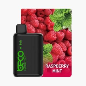 BECO Soft 6000 Puffs raspberry mint
