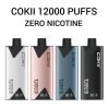 COKII 12000 Puffs Disposable Vape