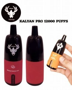 Kalyan Pro 12000 Puffs Disposable Vape