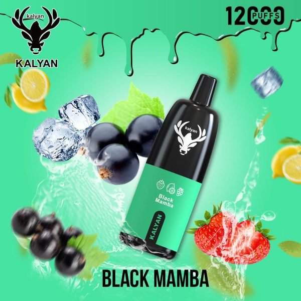 Kalyan Pro 12000 Puffs Disposable Vape Black Mamba