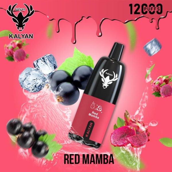 Kalyan Pro 12000 Puffs Disposable Vape Rad Mamba
