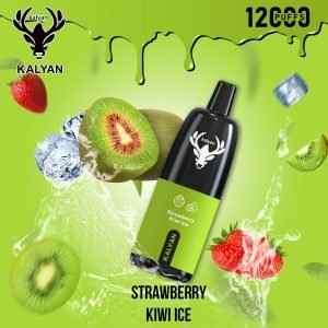 Kalyan Pro 12000 Puffs Disposable Vape Strawberry Kiwi