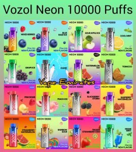 Vozol Neon 10000 Puffs Disposable Vape