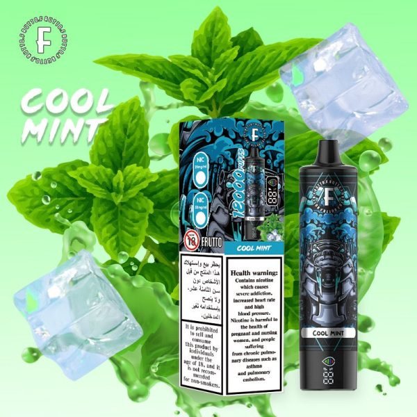 FRUTTO 18000 Puffs Disposable Vape Cool Mint Ice