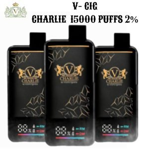 VICIG Charlie 15000 Puffs Disposable Vape