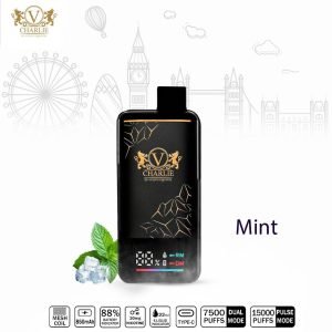 VICIG Charlie 15000 Puffs Disposable Vape Mint