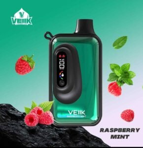 VEIIK Space VKK 20000 Puffs Raspberry Mint