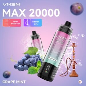 VNSN Max DTL 20000 Puffs Grape Mint