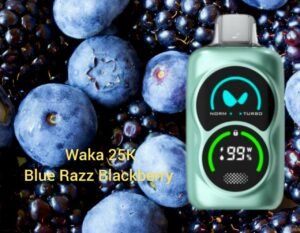 WAKA PA25000 Puffs Disposable Vape Blue Razz Blackberry