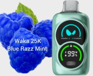 WAKA PA25000 Puffs Disposable Vape Blue Razz Mint