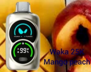 WAKA PA25000 Puffs Disposable Vape Mango Peach