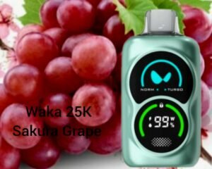 WAKA PA25000 Puffs Disposable Vape Sakura Grape