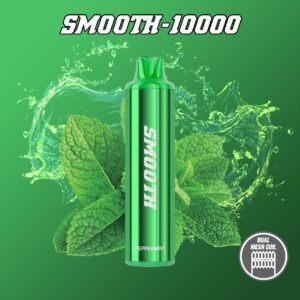 SMOOTH 10000 Puffs Disposable Vape Spearmint