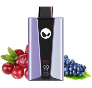 WAKA SoPro 20000 Disposable Vape Cranberry Grape