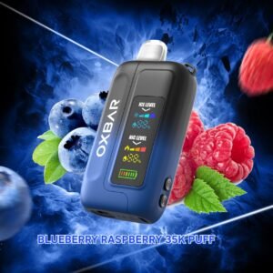 OXBAR ICE-Nic Control 35k Puffs Disposable Vape blueberry raspberry