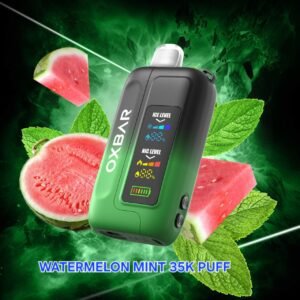 OXBAR ICE-Nic Control 35k Puffs Disposable Vape watermelon mint