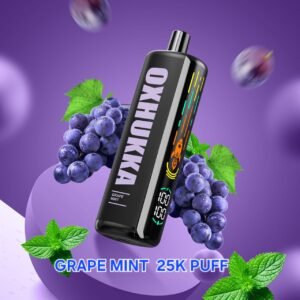 OXBAR OXHUKKA 25k Puffs grape mint