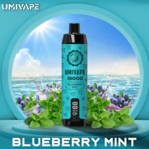 Umivape U Bar 18000 Puffs Disposable Vape blueberry mint