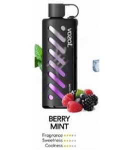 Vozol Gear Shisha 25000 Puffs berry mint