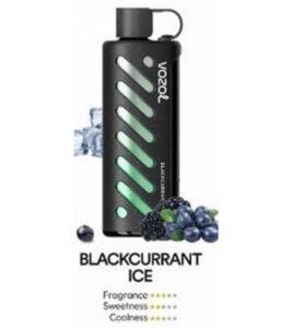 Vozol Gear Shisha 25000 Puffs blackcurrant ice