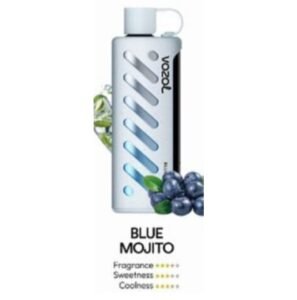 Vozol Gear Shisha 25000 Puffs blue mojito