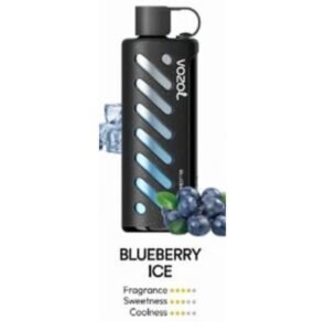 Vozol Gear Shisha 25000 Puffs blueberry ice