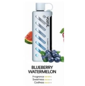 Vozol Gear Shisha 25000 Puffs blueberry mint