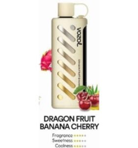 Vozol Gear Shisha 25000 Puffs dragon fruit banana cherry