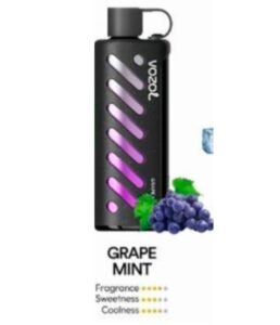 Vozol Gear Shisha 25000 Puffs grape mint