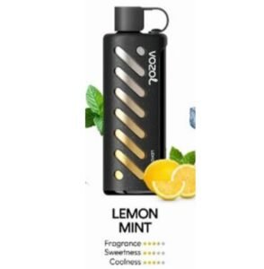 Vozol Gear Shisha 25000 Puffs lemon mint