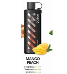 Vozol Gear Shisha 25000 Puffs mango peach