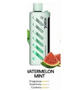 Vozol Gear Shisha 25000 Puffs watermelon mint