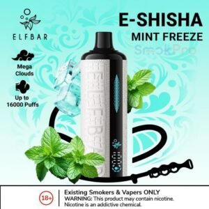  ELF BAR E-Shisha 16000 Puffs mint freeze