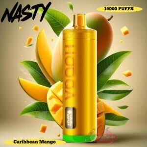 Nasty Hookah 15000 Puffs carribean mango