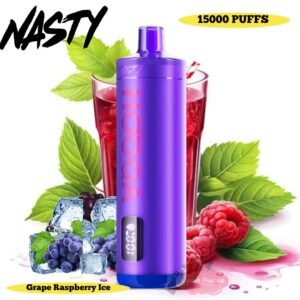 Nasty Hookah 15000 Puffs grape raspberry