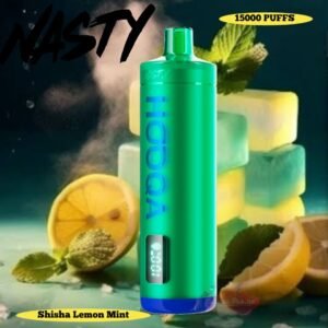 Nasty Hookah 15000 Puffs shisha lemon mint