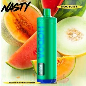 Nasty Hookah 15000 Puffs shisha mix melon mint