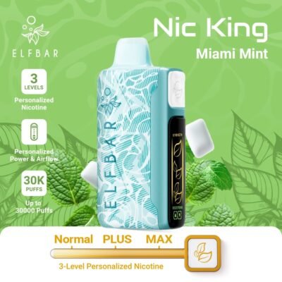 Elf Bar Nic King 30000 Puffs miami mint