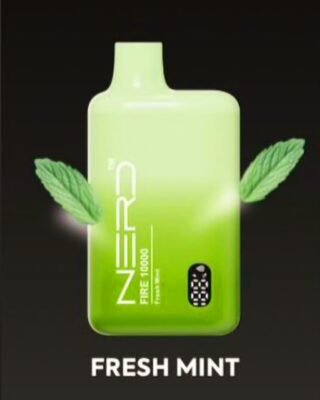NERD FIRE 10000 Puffs fresh mint