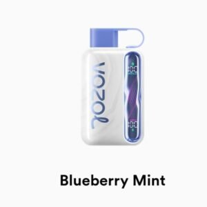 VOZOL STAR 40000 Puffs blueberry mint