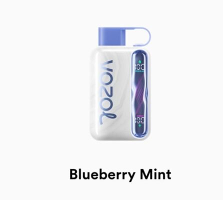 VOZOL STAR 40000 Puffs blueberry mint