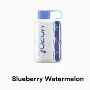 VOZOL STAR 40000 Puffs blueberry watermelon