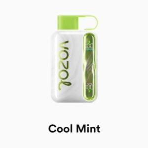 VOZOL STAR 40000 Puffs cool mint