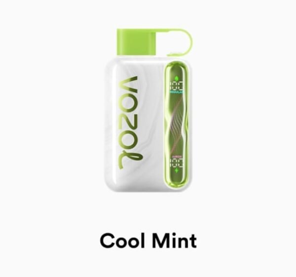 VOZOL STAR 40000 Puffs cool mint