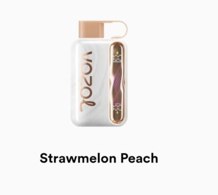 VOZOL STAR 40000 Puffs strawmelon peach