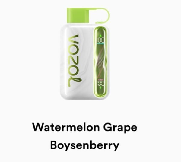 VOZOL STAR 40000 Puffs watermelon grape boysenberry