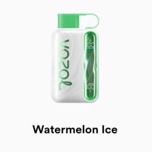 VOZOL STAR 40000 Puffs watermelon ice