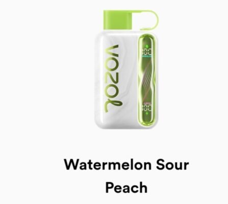 VOZOL STAR 40000 Puffs watermelon sour peach