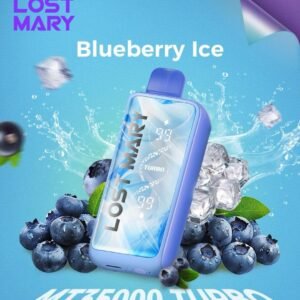 Lost Mary MT35000 Turbo blueberry ice