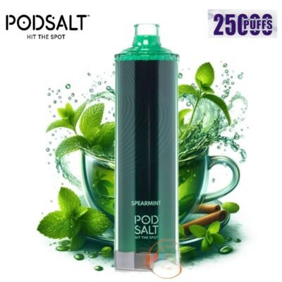 POD SALT Onyx Cloud 25000 Puffs spear mint